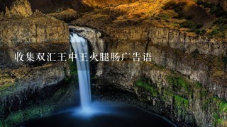 收集双汇王中王火腿肠广告语 收集双汇王中王火腿肠广告语