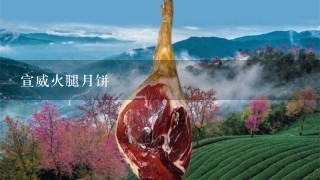 宣威火腿月饼 宣威火腿月饼