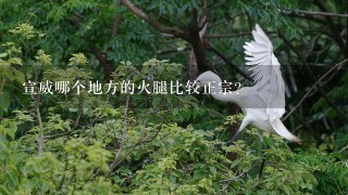 宣威哪个地方的火腿比较正宗? 宣威哪个地方的火腿比较正宗?