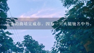 云南的曲靖宣威市,因为一只火腿驰名中外,这到底是 云南的曲靖宣威市,因为一只火腿驰名中外,这到底是
