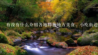 有没有什么介绍各地特色地方美食,小吃街边店的网站 有没有什么介绍各地特色地方美食,小吃街边店的网站