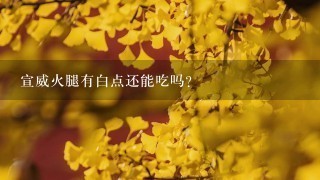 宣威火腿有白点还能吃吗? 宣威火腿有白点还能吃吗?