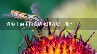 舌尖上的中国宣威火腿在哪一集? 舌尖上的中国宣威火腿在哪一集?