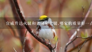 宣威升达火腿和老蒲家火腿,哪家的质量好一点? 宣威升达火腿和老蒲家火腿,哪家的质量好一点?