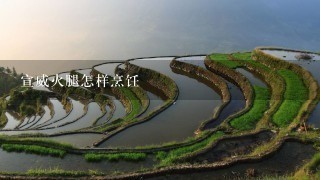 宣威火腿怎样烹饪 宣威火腿怎样烹饪