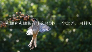 火腿和火腿肠有什么区别?一字之差,用料天壤之别, 火腿和火腿肠有什么区别?一字之差,用料天壤之别,