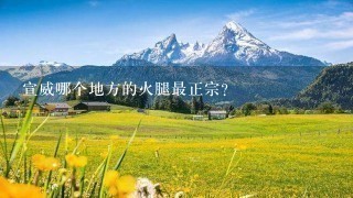 宣威哪个地方的火腿最正宗? 宣威哪个地方的火腿最正宗?