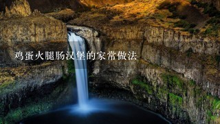 鸡蛋火腿肠汉堡的家常做法 鸡蛋火腿肠汉堡的家常做法