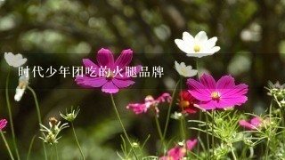 时代少年团吃的火腿品牌 时代少年团吃的火腿品牌