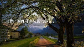 白萝卜西红柿火腿汤的做法? 白萝卜西红柿火腿汤的做法?