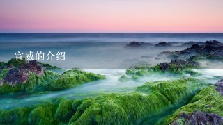 宣威的介绍 宣威的介绍