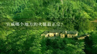 宣威哪个地方的火腿最正宗? 宣威哪个地方的火腿最正宗?