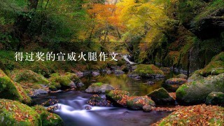 得过奖的宣威火腿作文 得过奖的宣威火腿作文