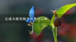 宣威火腿要腌多少天可以晒 宣威火腿要腌多少天可以晒