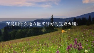 在昆明什么地方能买到好的宣威火腿. 在昆明什么地方能买到好的宣威火腿.