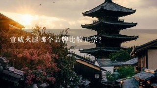 宣威火腿哪个品牌比较正宗? 宣威火腿哪个品牌比较正宗?