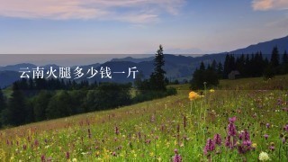 云南火腿多少钱一斤 云南火腿多少钱一斤
