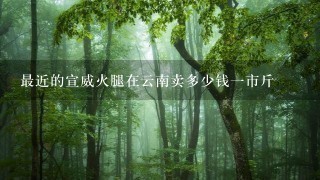 最近的宣威火腿在云南卖多少钱一市斤 最近的宣威火腿在云南卖多少钱一市斤