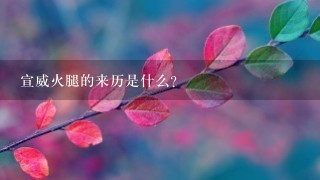 宣威火腿的来历是什么? 宣威火腿的来历是什么?