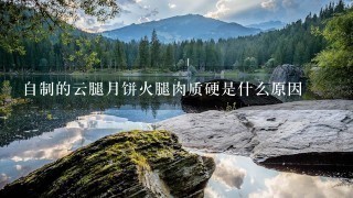 自制的云腿月饼火腿肉质硬是什么原因 自制的云腿月饼火腿肉质硬是什么原因