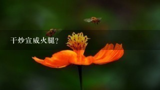 干炒宣威火腿? 干炒宣威火腿?