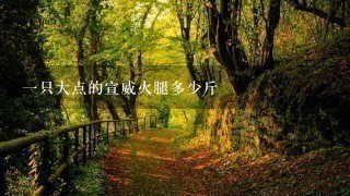 一只大点的宣威火腿多少斤 一只大点的宣威火腿多少斤