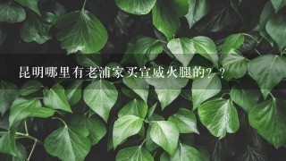 昆明哪里有老浦家买宣威火腿的?? 昆明哪里有老浦家买宣威火腿的??