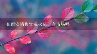 在西安销售宣威火腿,有市场吗 在西安销售宣威火腿,有市场吗