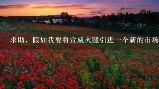 求助,假如我要将宣威火腿引进一个新的市场,应该怎么样对它进行市场细分?能否给个大概的市场细分? 求助,假如我要将宣威火腿引进一个新的市场,应该怎么样对它进行市场细分?能否给个大概的市场细分?