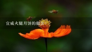 宣威火腿月饼的做法? 宣威火腿月饼的做法?