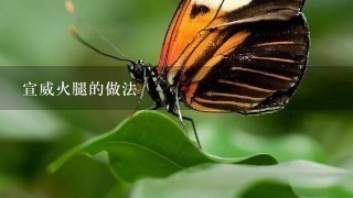 宣威火腿的做法 宣威火腿的做法