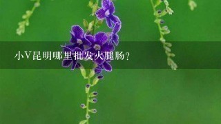 小V昆明哪里批发火腿肠? 小V昆明哪里批发火腿肠?
