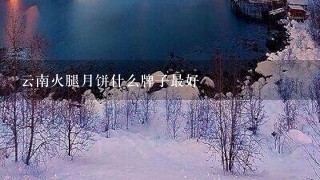 云南火腿月饼什么牌子最好 云南火腿月饼什么牌子最好