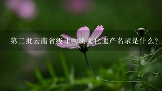 第二批云南省级非物质文化遗产名录是什么? 第二批云南省级非物质文化遗产名录是什么?