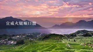 宣威火腿顺口溜 宣威火腿顺口溜