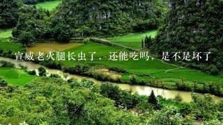 宣威老火腿长虫了，还能吃吗，是不是坏了