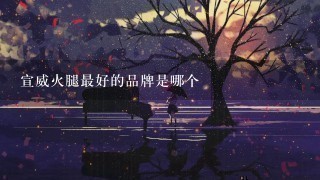 宣威火腿最好的品牌是哪个 宣威火腿最好的品牌是哪个