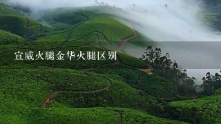 宣威火腿金华火腿区别 宣威火腿金华火腿区别