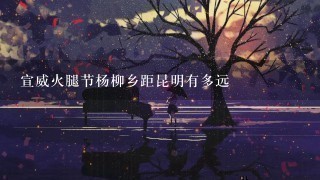 宣威火腿节杨柳乡距昆明有多远 宣威火腿节杨柳乡距昆明有多远