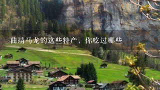 曲靖马龙的这些特产,你吃过哪些 曲靖马龙的这些特产,你吃过哪些