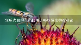 宣威火腿的生产使用了哪些微生物控制法 宣威火腿的生产使用了哪些微生物控制法