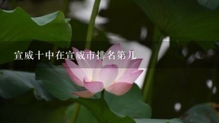 宣威十中在宣威市排名第几 宣威十中在宣威市排名第几