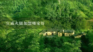 宣威火腿加盟哪家好 宣威火腿加盟哪家好