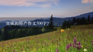 宣威的特产作文500字? 宣威的特产作文500字?