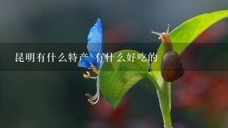 昆明有什么特产 有什么好吃的 昆明有什么特产 有什么好吃的