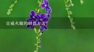 宣威火腿的制作方法? 宣威火腿的制作方法?