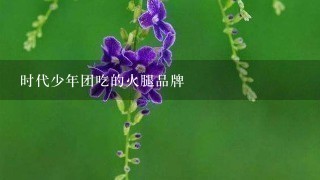 时代少年团吃的火腿品牌 时代少年团吃的火腿品牌