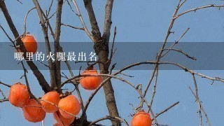 哪里的火腿最出名 哪里的火腿最出名