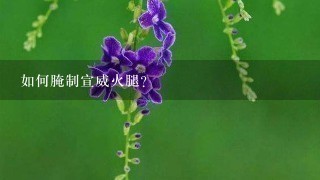 如何腌制宣威火腿? 如何腌制宣威火腿?