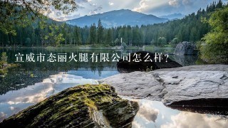 宣威市态丽火腿有限公司怎么样? 宣威市态丽火腿有限公司怎么样?